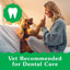 Greenies Puppy 6+ Months Dog Dental Treats - Talis Us