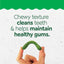 Greenies Puppy 6+ Months Dog Dental Treats - Talis Us