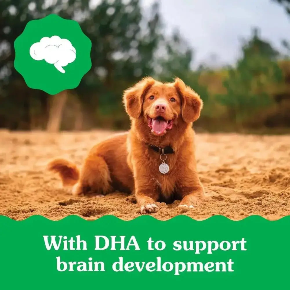 Greenies Puppy 6+ Months Dog Dental Treats - Talis Us