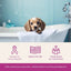 Health Extension Ari Probiotic Anti - Itch Dog Spray - Talis Us
