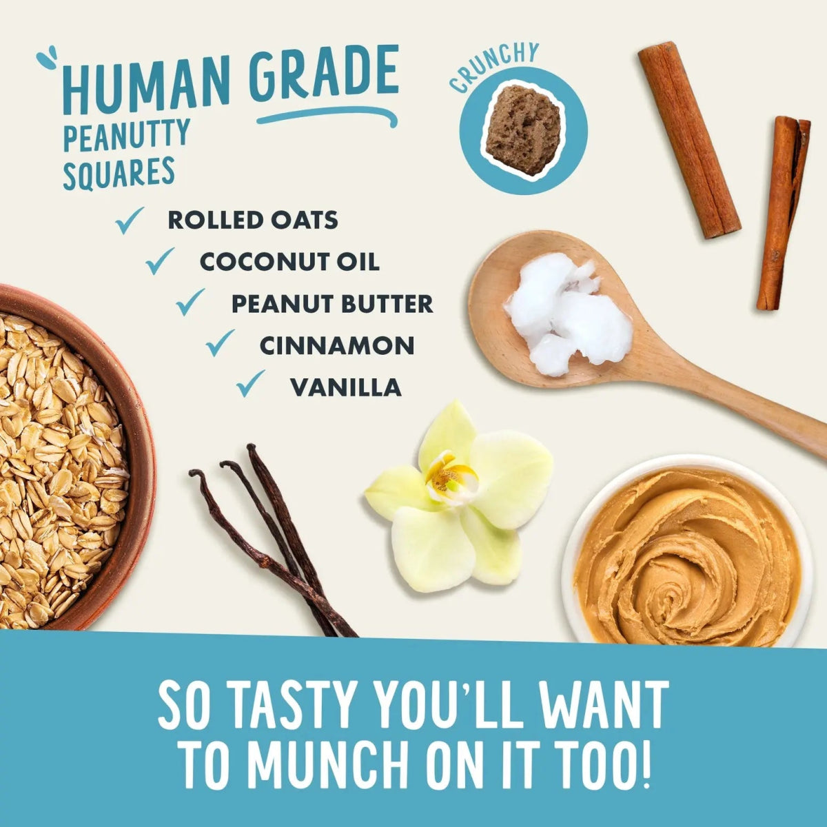 Health Extension Crunchy Munchies Granola Bites - Peanutty Squares Dog Treats 8 oz - Talis Us