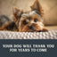 Health Extension Gently Cooked Grain Free Salmon Recipe Pouches For Dogs - Talis Us