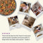 Health Extension Gently Cooked Grain Free Salmon Recipe Pouches For Dogs - Talis Us