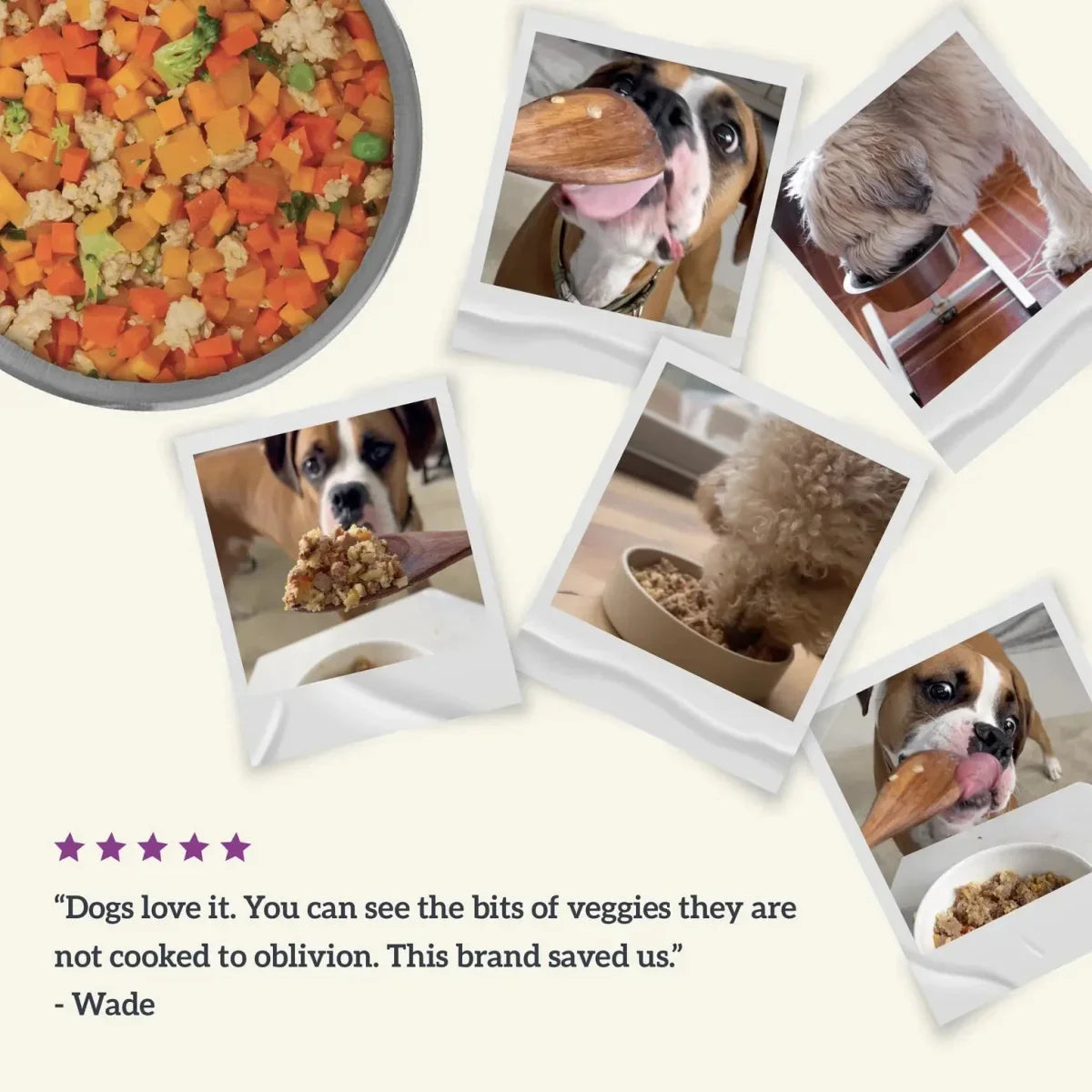 Health Extension Gently Cooked Vegetarian Recipe Pouches For Dogs - Talis Us