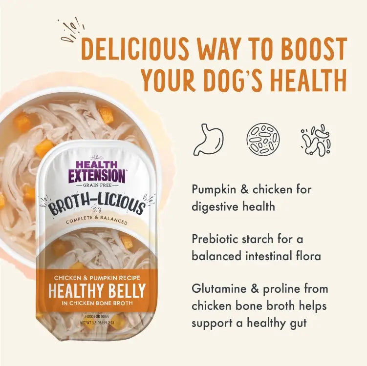 Health Extension Broth-Licious Healthy Belly wet dog food for sensitive stomachs, featuring chicken and pumpkin ingredients
