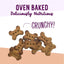 Oven baked peanut butter banana dog treats shaped like bones, crunchy and nutritious for your dog