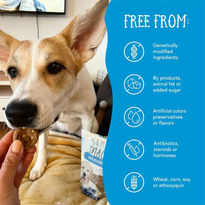Health Extension Sammy Snacks Blueberries Flavored Natural Dog Treats 8 oz - Talis Us