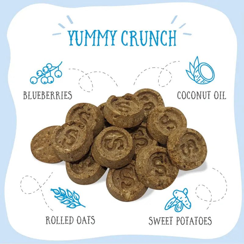 Health Extension Sammy Snacks Blueberries Flavored Natural Dog Treats 8 oz - Talis Us