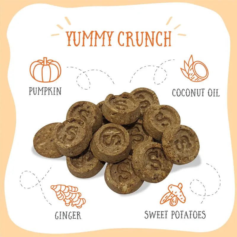 Health Extension Sammy Snacks Pumpkin Flavored Natural Dog Treats 8 oz - Talis Us