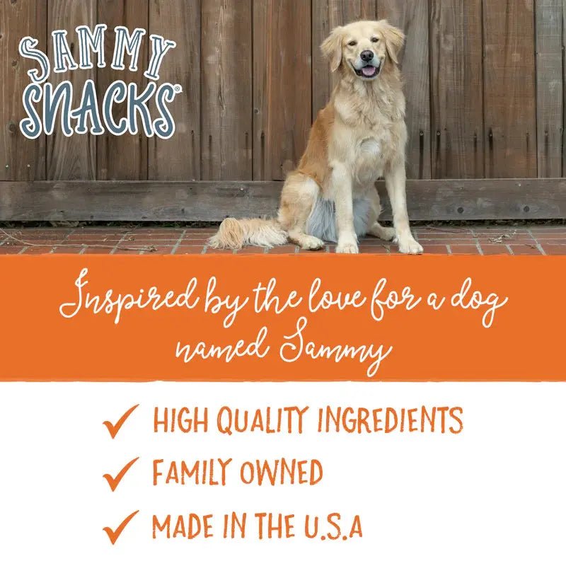 Health Extension Sammy Snacks Pumpkin Flavored Natural Dog Treats 8 oz - Talis Us