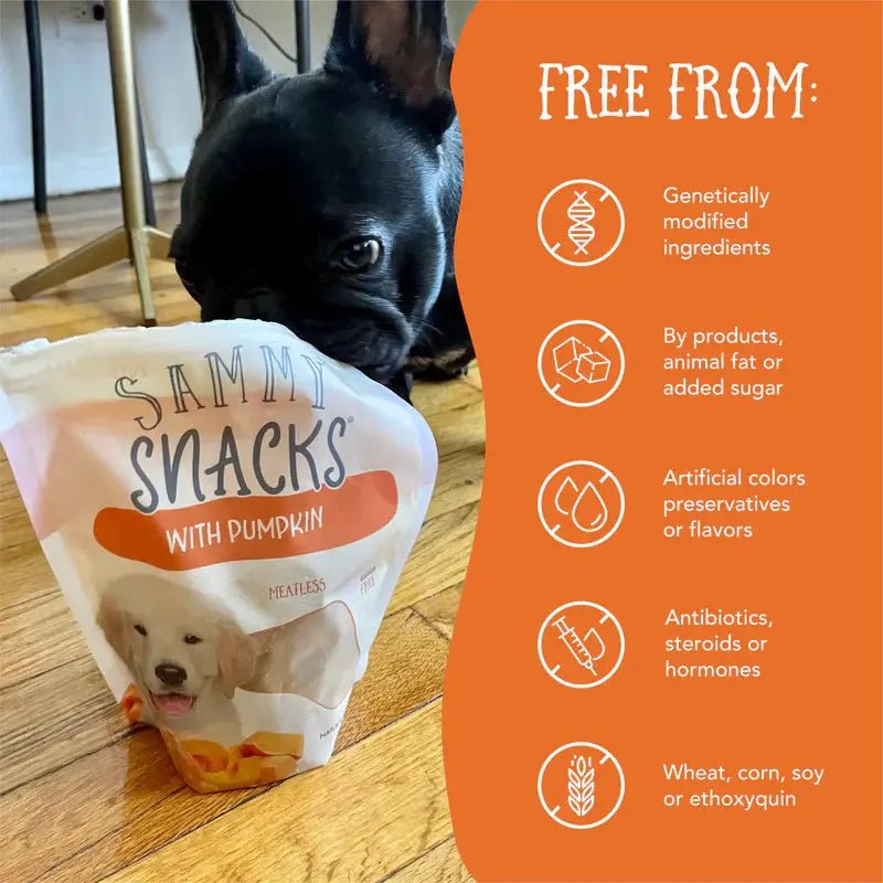Health Extension Sammy Snacks Pumpkin Flavored Natural Dog Treats 8 oz - Talis Us