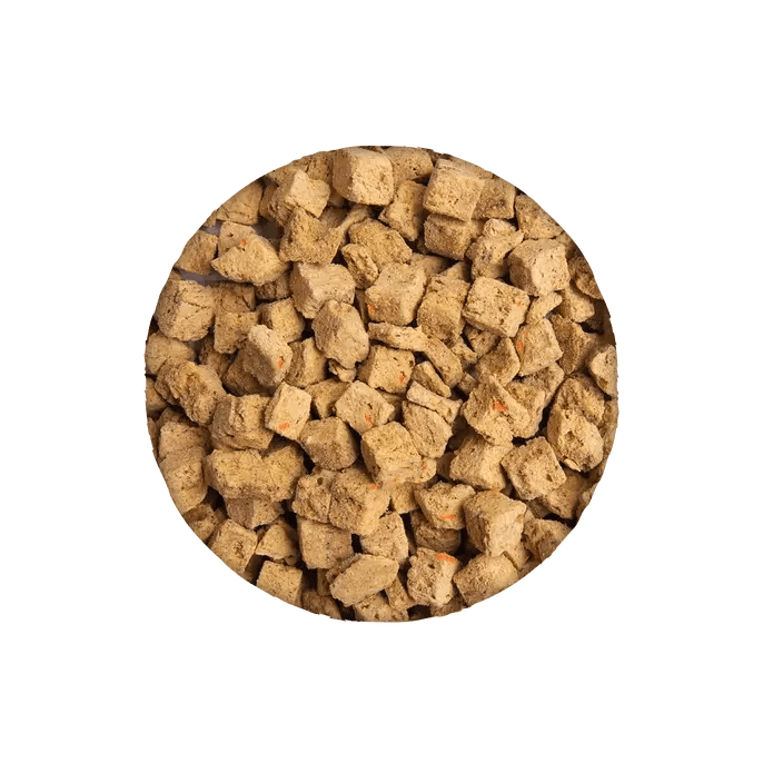 Health Extension Superbites Freeze Dried Raw Salmon Dog Food Mixer - Talis Us