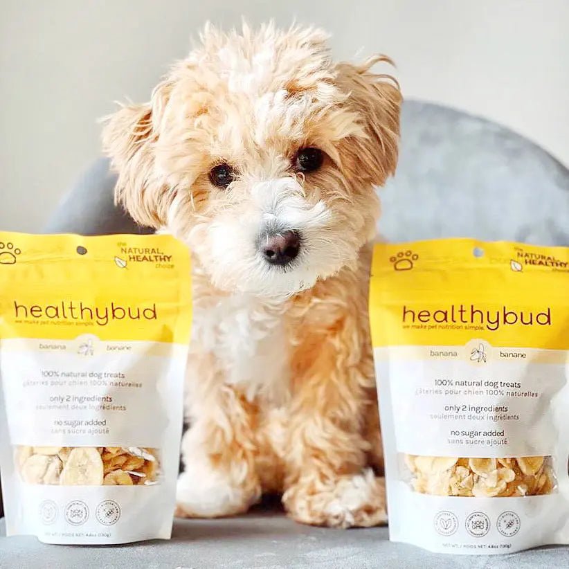 Healthybud Banana Crisps Dehydrated Vegan Training Dog Treats 5.3 Oz - Talis Us