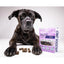 Healthybud Beef Joint Booster Soft Dog Treats for Senior Dogs - Talis Us