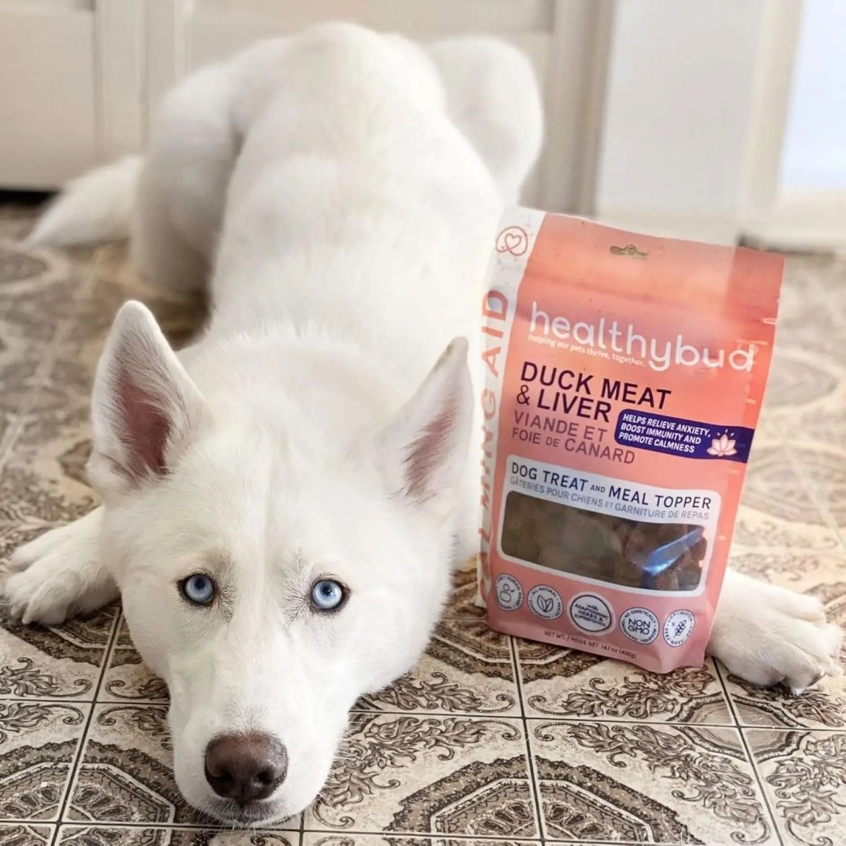 Healthybud Calming Aid Stress Relief Duck Soft Dog Treats - Talis Us