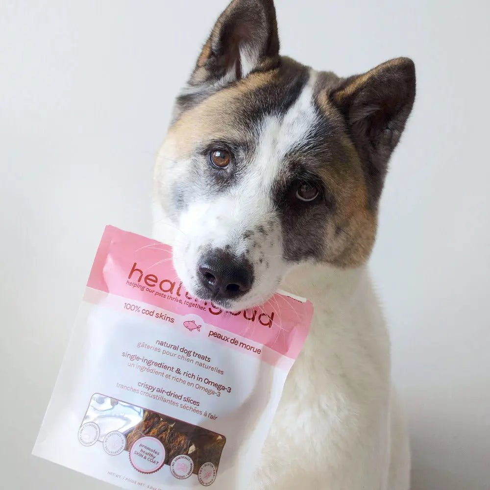Healthybud Cod Skins Dehydrated Hypoallergenic Dog Treats 2.8oz - Talis Us