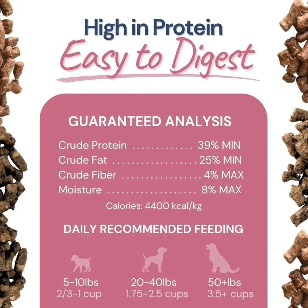 Healthybud Lamb & Salmon Meal Bites Freeze - Dried Raw Dog Food 14oz - Talis Us