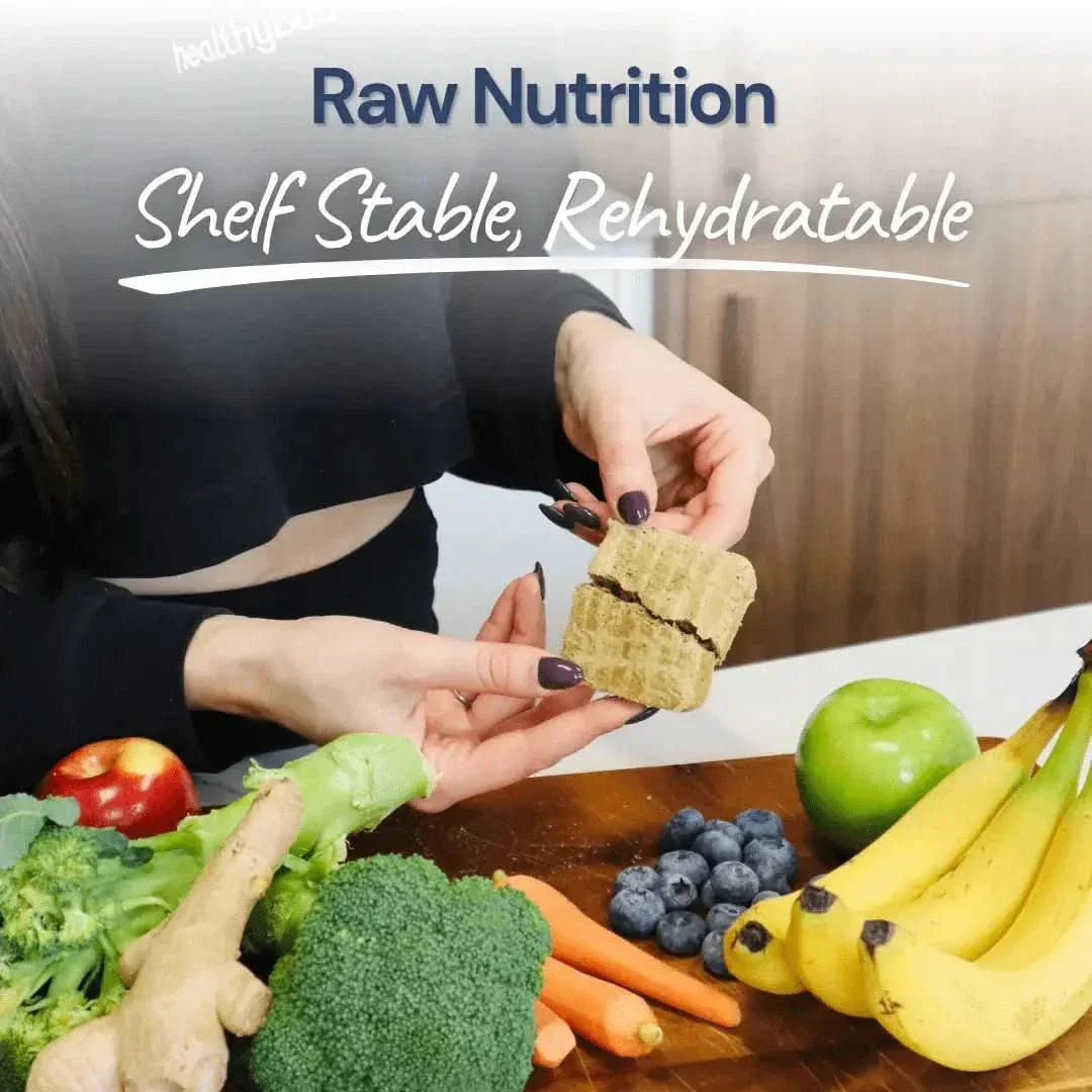 Healthybud Lamb & Salmon Meal Patties Freeze - Dried Raw Dog Food 14oz - Talis Us