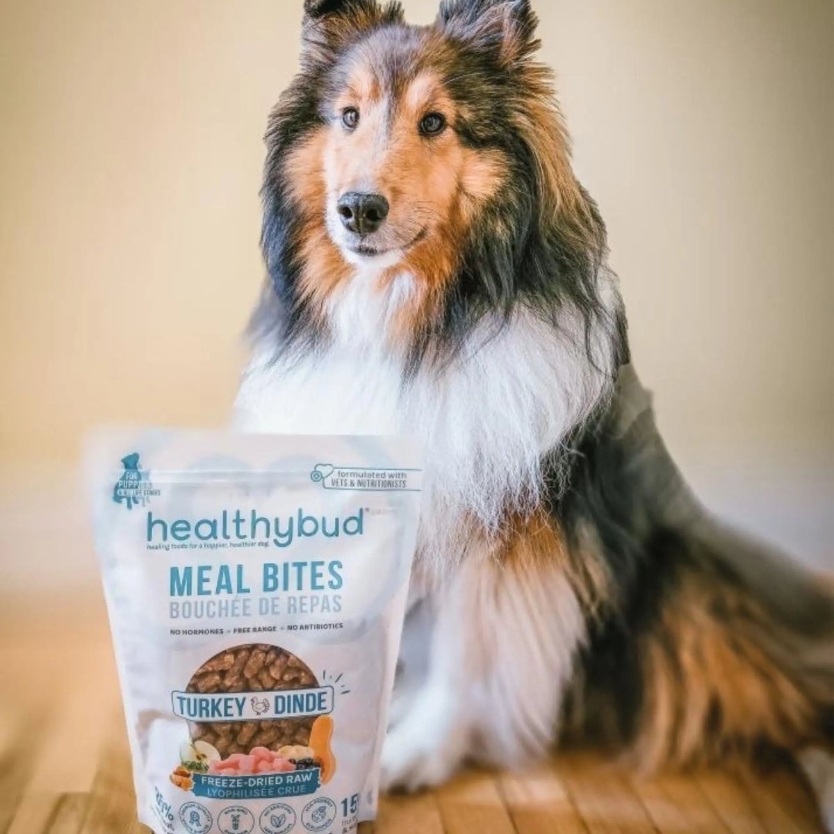 Healthybud Turkey Meal Bites Freeze - Dried Dog Food 14Oz - Talis Us