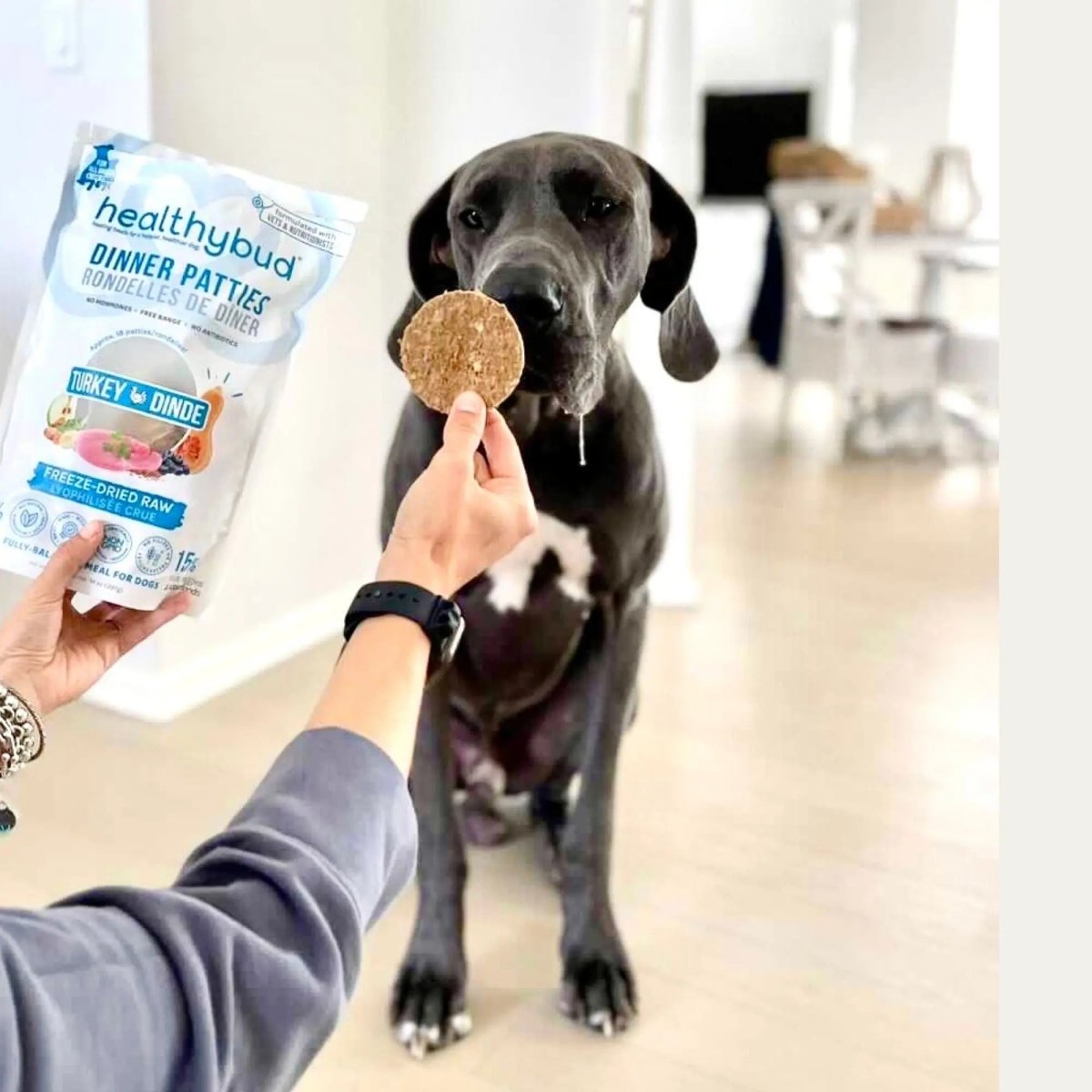 Healthybud Turkey Patties Freeze - Dried Dog Food 14 oz - Talis Us