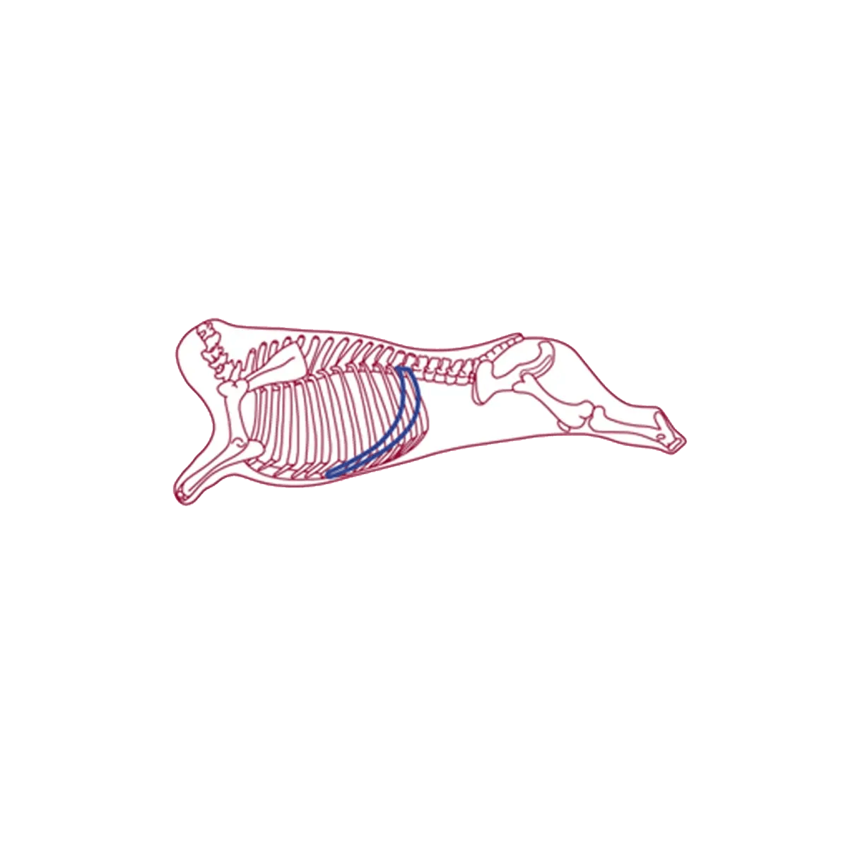 Home Range Skirt Steak Bar Butchers Cut Treat 6" 20cs - Talis Us