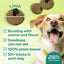 Honest To Goodness™ Plant Snacks Golden Years Blueberry & Carrot Recipe Dog Treats 8oz - Talis Us