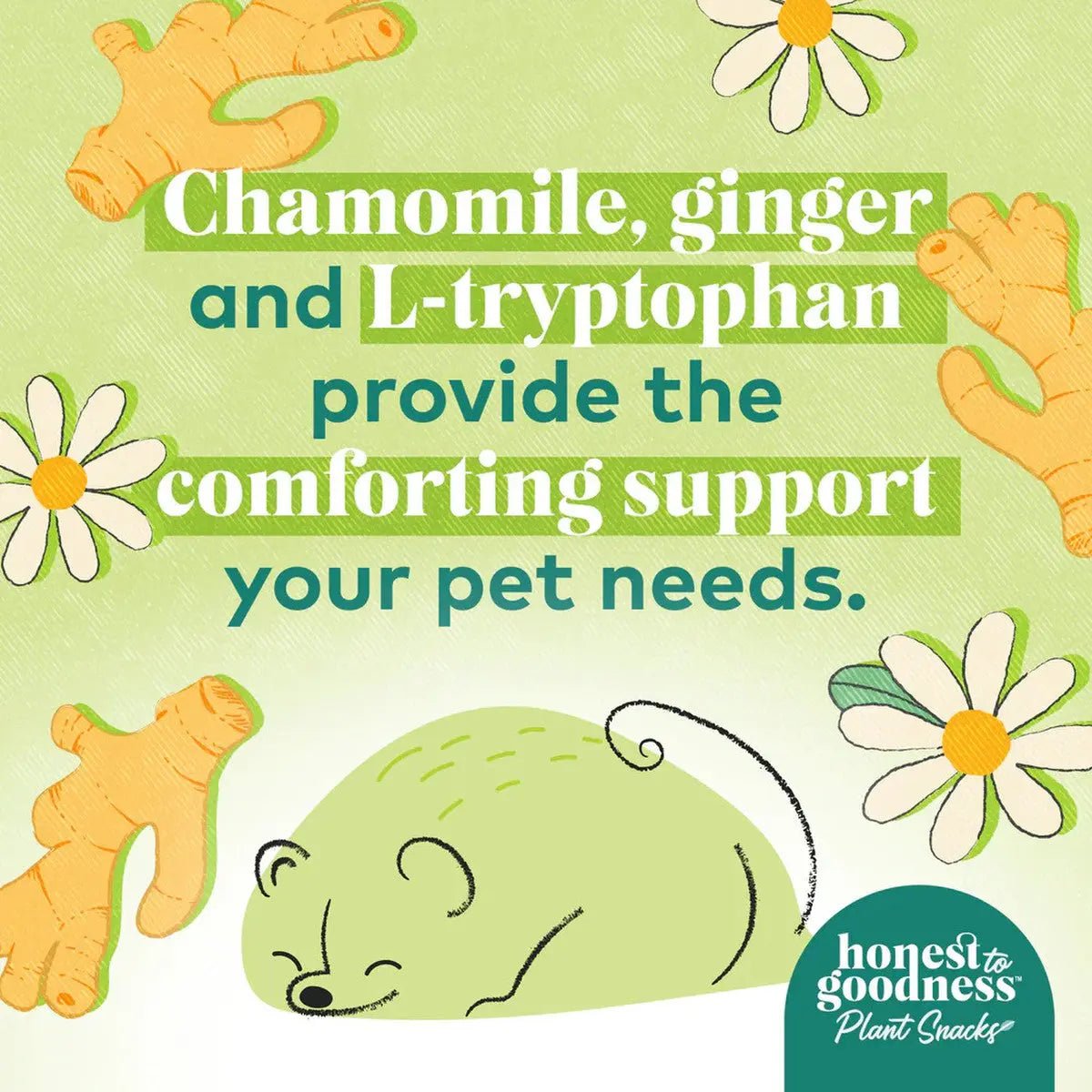 Honest To Goodness™ Plant Snacks Good Vibes Chamomile & Ginger Recipe Dog Treats 8oz - Talis Us
