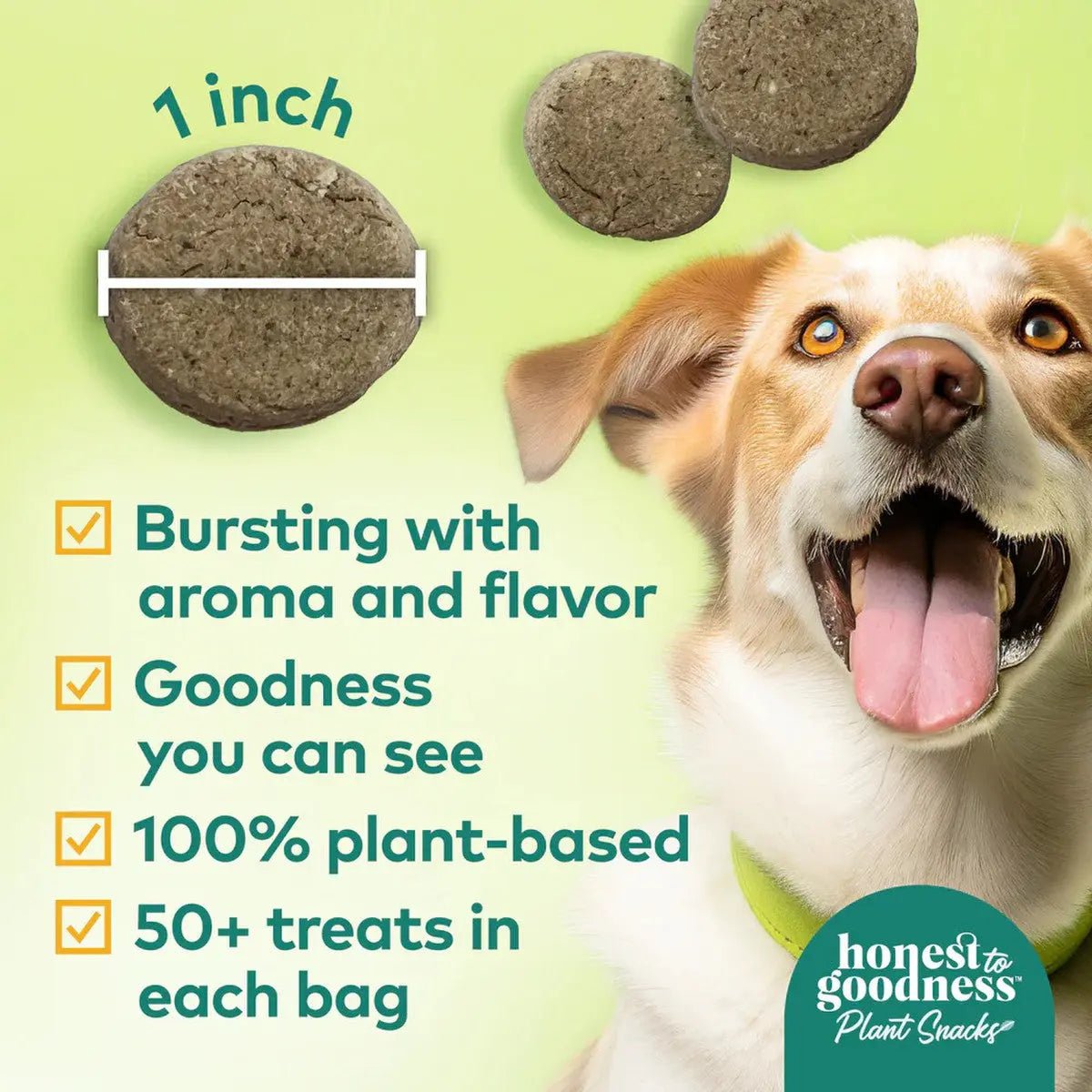 Honest To Goodness™ Plant Snacks Good Vibes Chamomile & Ginger Recipe Dog Treats 8oz - Talis Us