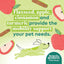 Honest To Goodness™ Plant Snacks Happy Feet Apple & Cinnamon Recipe Dog Treats 8oz - Talis Us