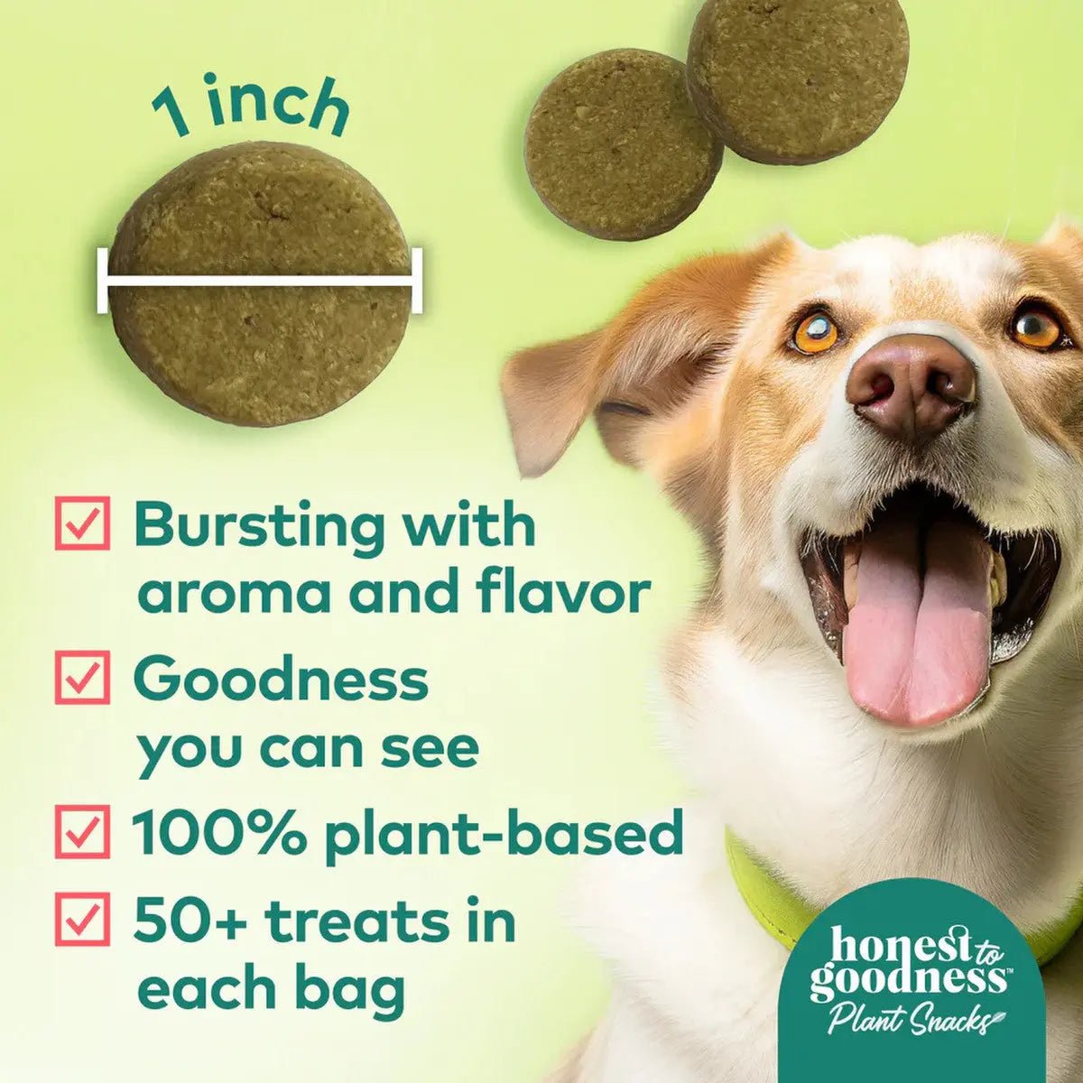 Honest To Goodness™ Plant Snacks Happy Feet Apple & Cinnamon Recipe Dog Treats 8oz - Talis Us