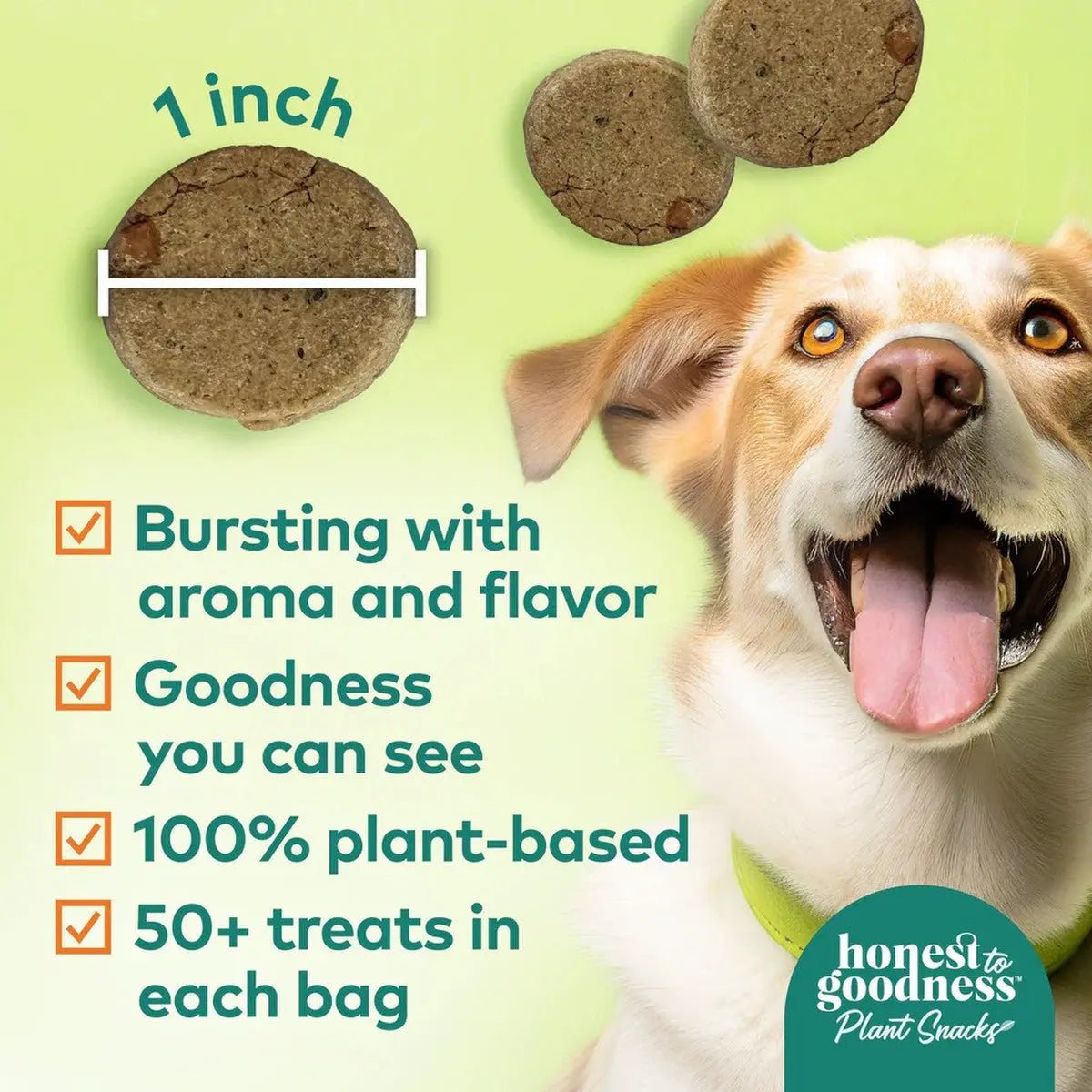 Honest To Goodness™ Plant Snacks Mellow Belly Pumpkin & Cinnamon Recipe Dog Treats 8oz - Talis Us