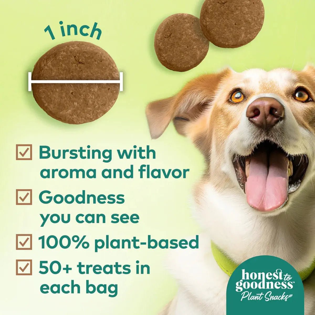 Honest To Goodness™ Plant Snacks Way to Glow Coconut & Flax Recipe Dog Treats 8oz - Talis Us