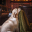 HuggleHounds Scout Blankie Double - Sided Plush Dog Blanket - Talis Us
