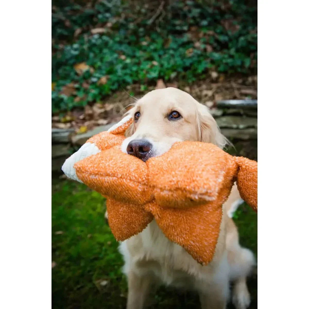 HuggleHounds Squooshies Durable Plush Squeaky Dog Toy - Talis Us