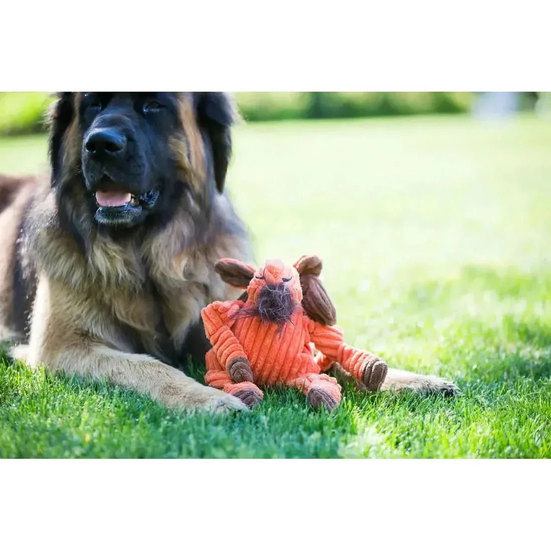 HuggleHounds Woodlands Durable Plush Corduroy Knottie Moose Squeaky Dog Toy - Talis Us