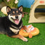 Hugsmart Pet Camping Pups Kayak Interactive Dog Toys - Talis Us