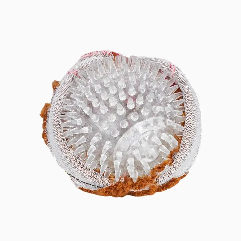Hugsmart Pet Food Party Spaghetti Meatball Ball Dog Toys - Talis Us