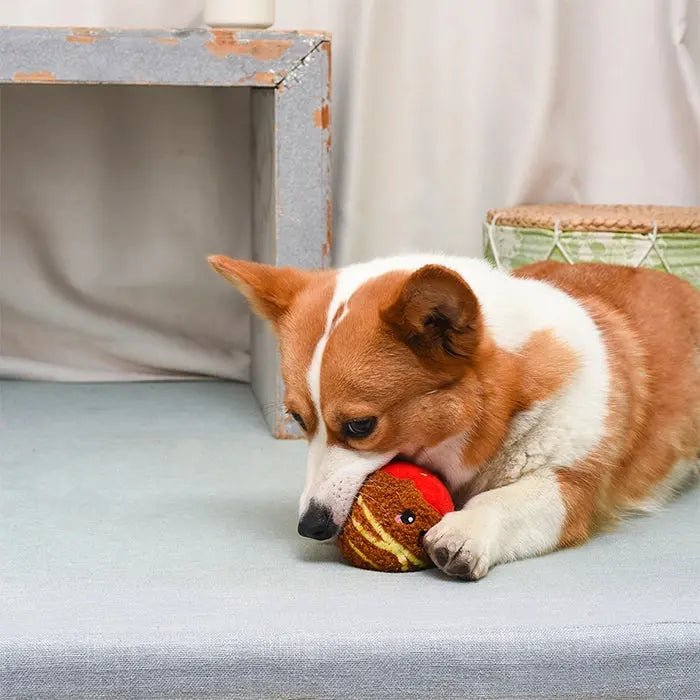 Hugsmart Pet Food Party Spaghetti Meatball Ball Dog Toys - Talis Us