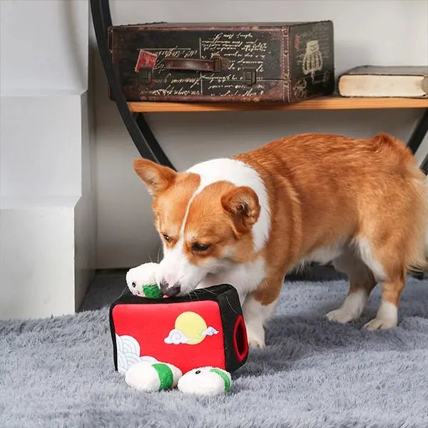 Hugsmart Pet Foodie Japan Bento Box Interactive Toys for Dogs - Talis Us
