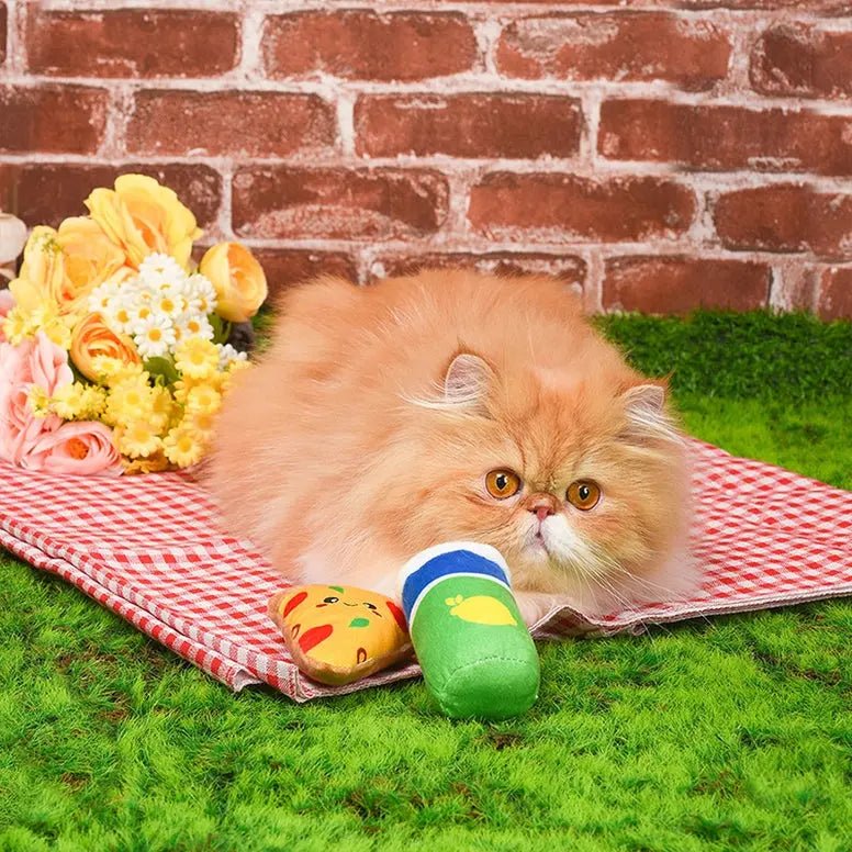 Hugsmart Pet Kitten Party Pizza & Soda Cat Toys - Talis Us