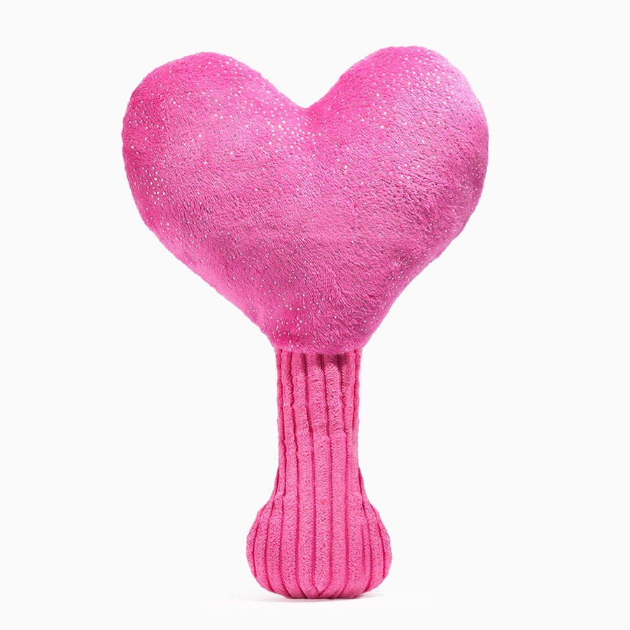 Hugsmart Pet Mirror Dog Toy for Puppies - Heart Shape - Talis Us