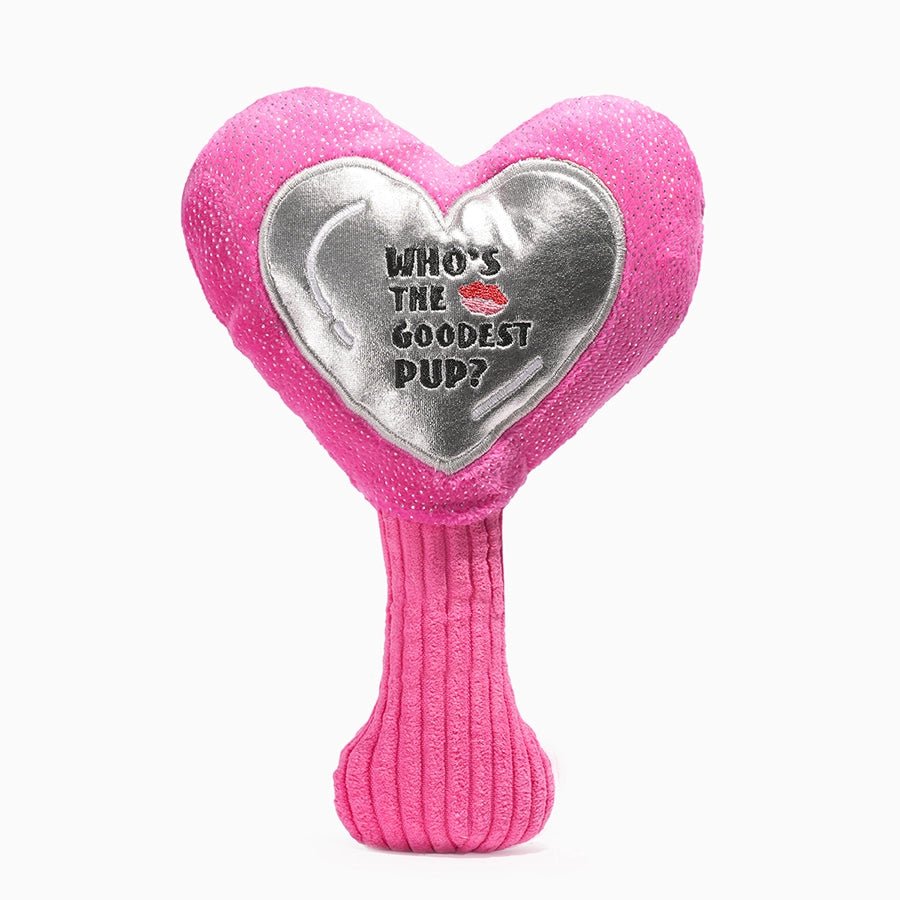 Hugsmart Pet Mirror Dog Toy for Puppies - Heart Shape - Talis Us