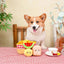 Hugsmart Pet Picnic Time Picnic Basket Interactive Toys for Dogs - Talis Us