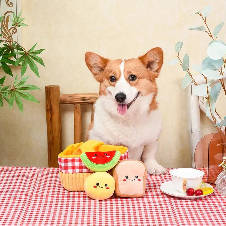Hugsmart Pet Picnic Time Picnic Basket Interactive Toys for Dogs - Talis Us