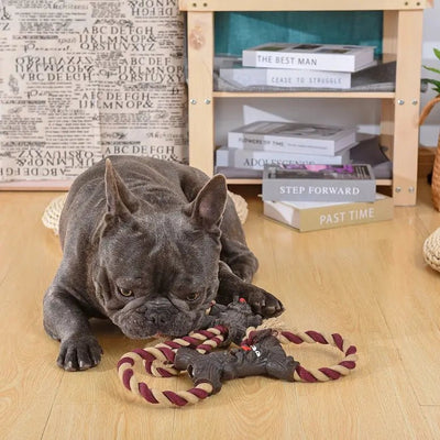 Hugsmart Pet Rope Monster Betty Dog Rope Toy - Talis Us