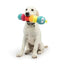 Huxley & Kent Fetchies Caterpillar Dog Toy - Talis Us