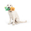 Huxley & Kent Seek 'n Treat Prickly Pawt Dog Toy - Talis Us