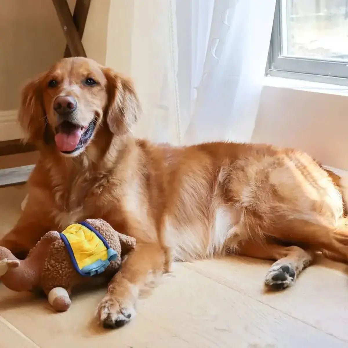 Injoya Sahara Camel Snuffle Dog Toy - Talis Us