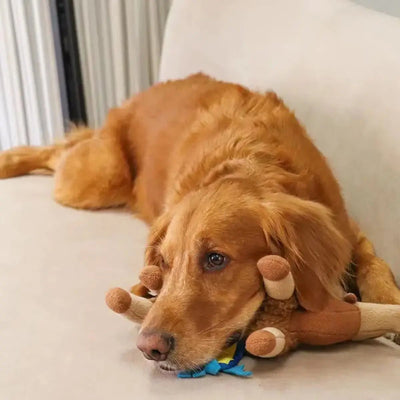 Injoya Sahara Camel Snuffle Dog Toy - Talis Us