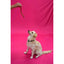 Jones Natural Chews Turkey Windees – Tasty, Digestible Chews for Dogs - Talis Us